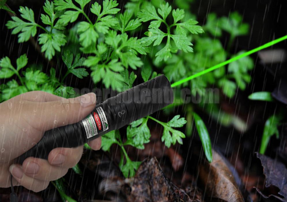 laser verde 300mW