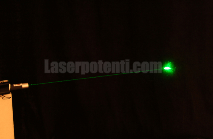 puntatore laser per gatti