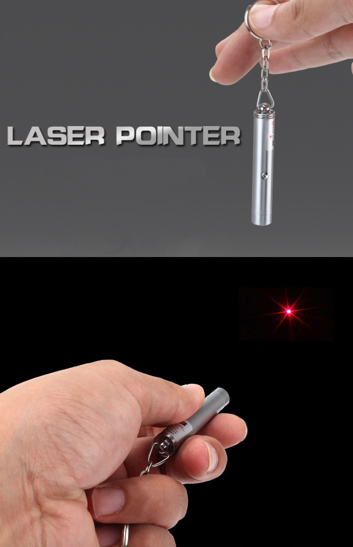 Penna laser per gatti