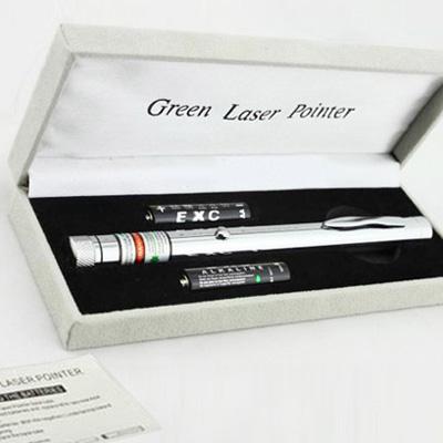 Penna puntatore laser verde 50mW di stile d'argento con adattatori