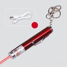 Mini penna laser rosso USB potente 50mW/100mW con portachiavi